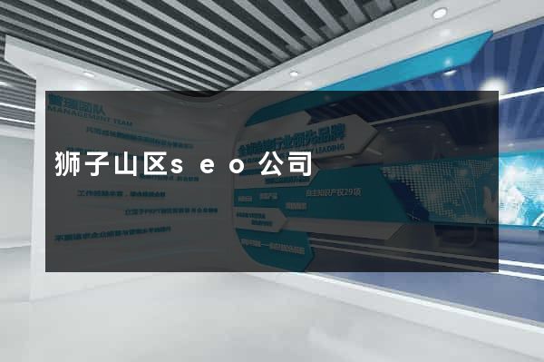 狮子山区seo公司