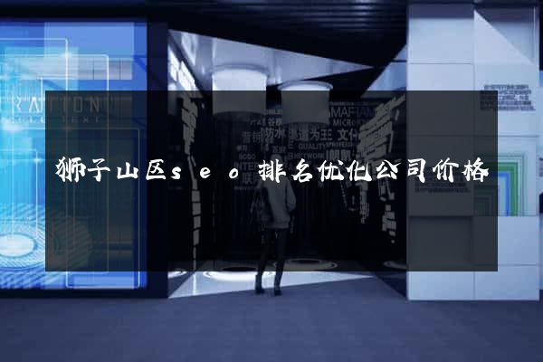 狮子山区seo排名优化公司价格