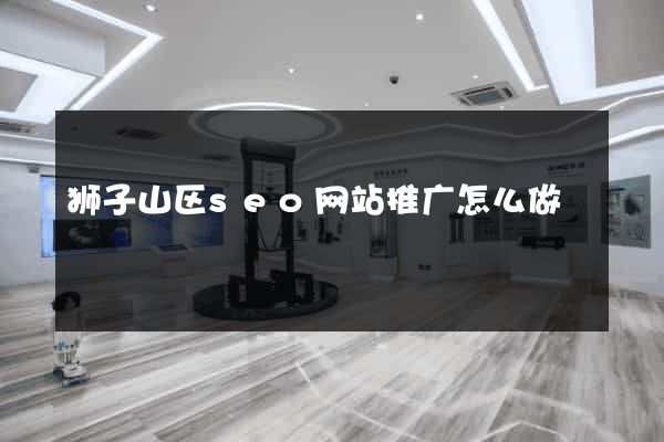 狮子山区seo网站推广怎么做