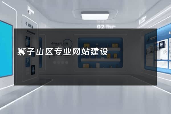 狮子山区专业网站建设