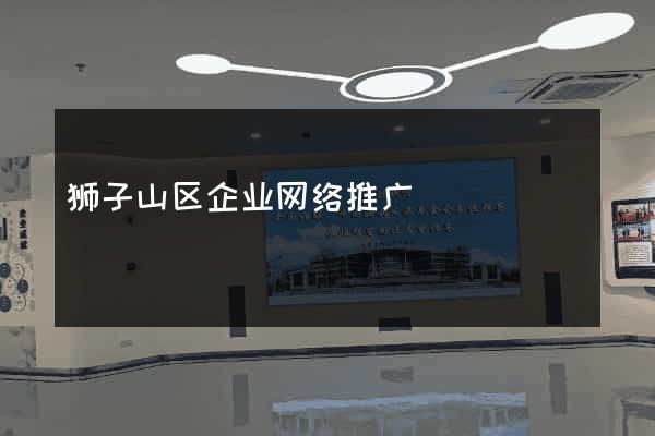 狮子山区企业网络推广
