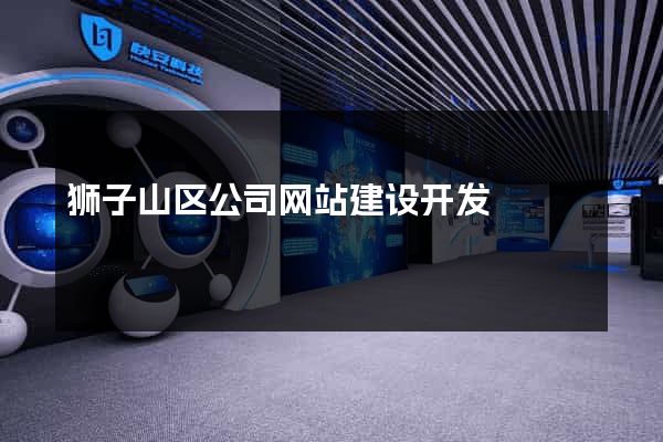 狮子山区公司网站建设开发