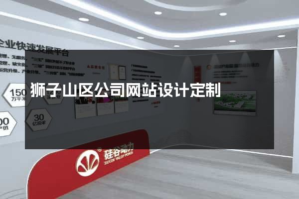 狮子山区公司网站设计定制