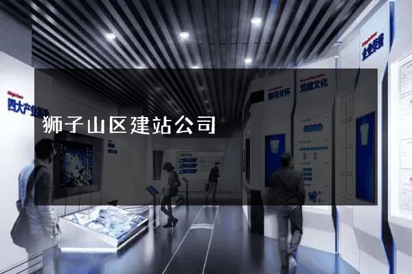 狮子山区建站公司