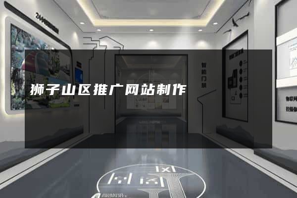 狮子山区推广网站制作