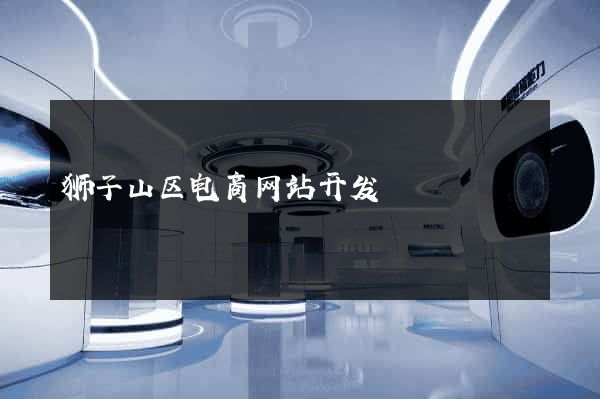狮子山区电商网站开发