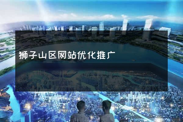 狮子山区网站优化推广