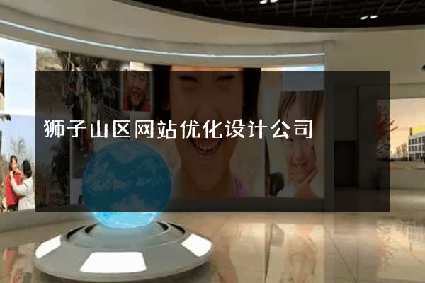 狮子山区网站优化设计公司