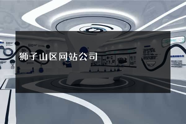 狮子山区网站公司