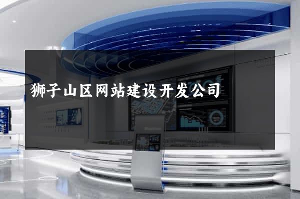 狮子山区网站建设开发公司