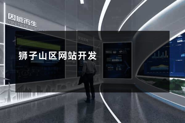 狮子山区网站开发
