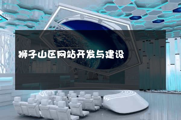 狮子山区网站开发与建设