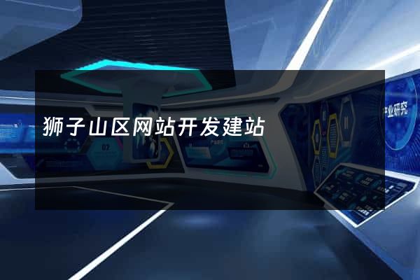 狮子山区网站开发建站