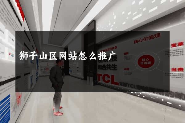 狮子山区网站怎么推广