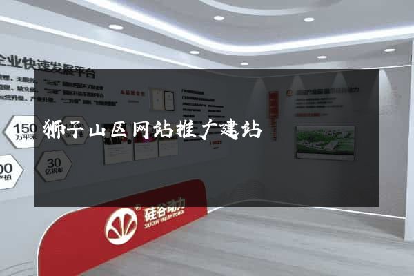 狮子山区网站推广建站