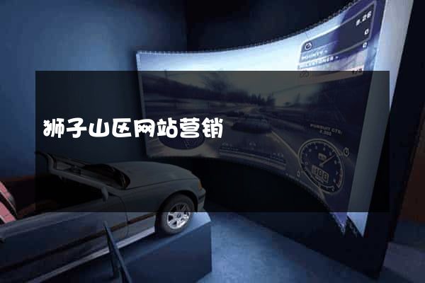 狮子山区网站营销