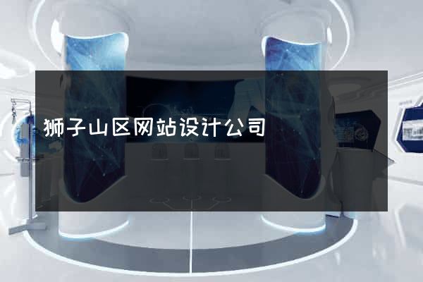 狮子山区网站设计公司