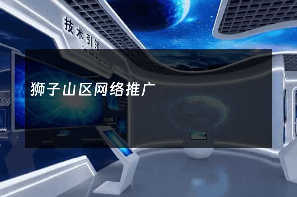 狮子山区网络推广