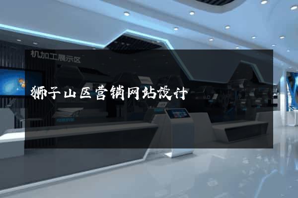 狮子山区营销网站设计