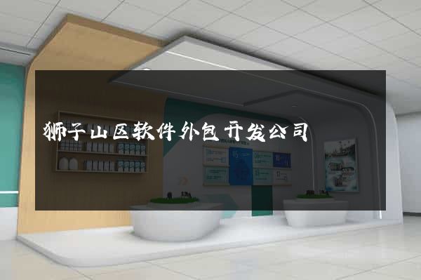 狮子山区软件外包开发公司