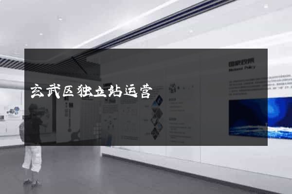 玄武区独立站运营