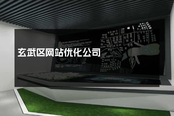 玄武区网站优化公司