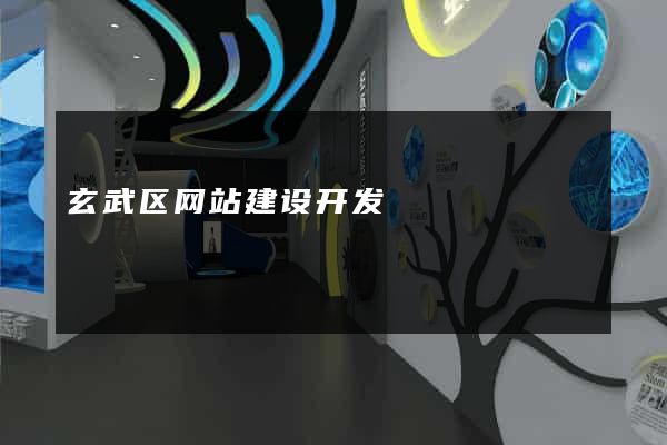 玄武区网站建设开发