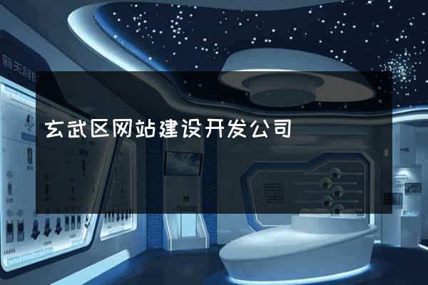 玄武区网站建设开发公司