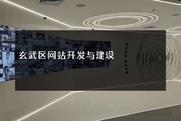 玄武区网站开发与建设