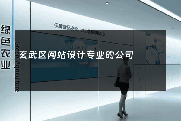 玄武区网站设计专业的公司