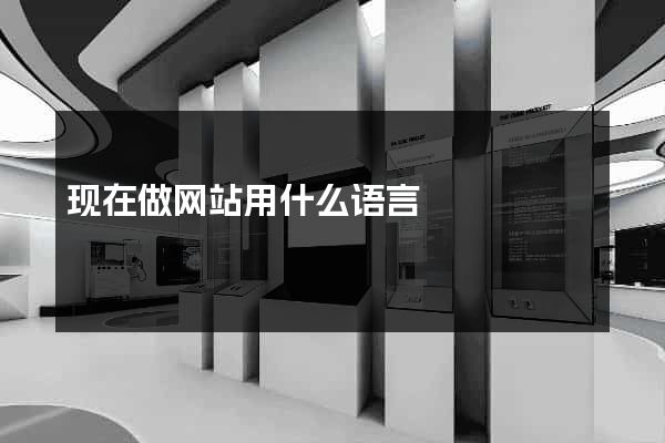 现在做网站用什么语言