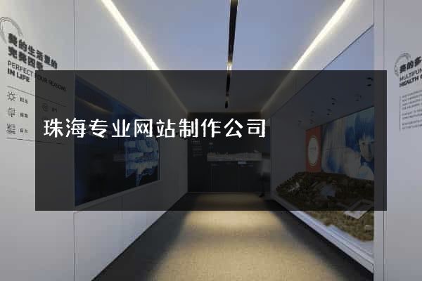 珠海专业网站制作公司