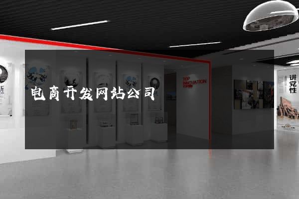 电商开发网站公司