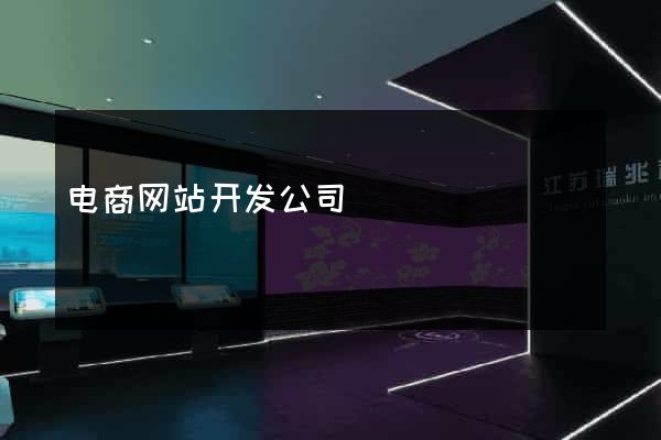 电商网站开发公司