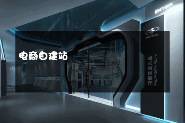 电商自建站