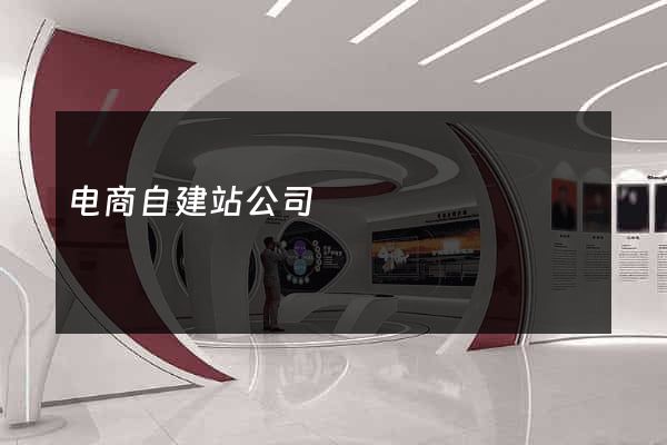 电商自建站公司