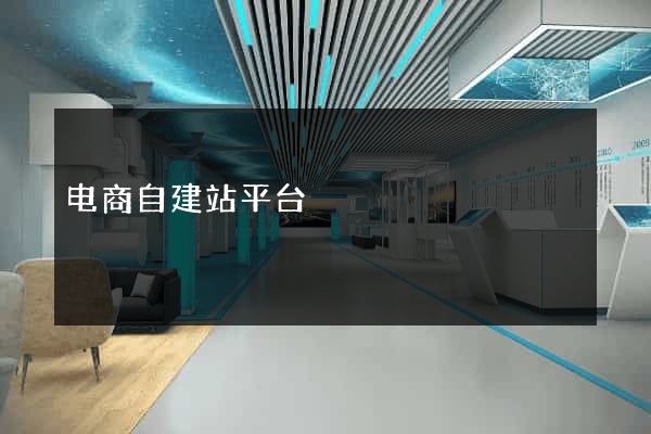 电商自建站平台