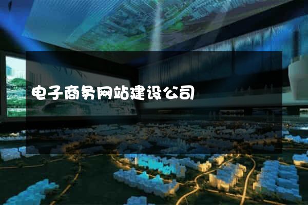 电子商务网站建设公司