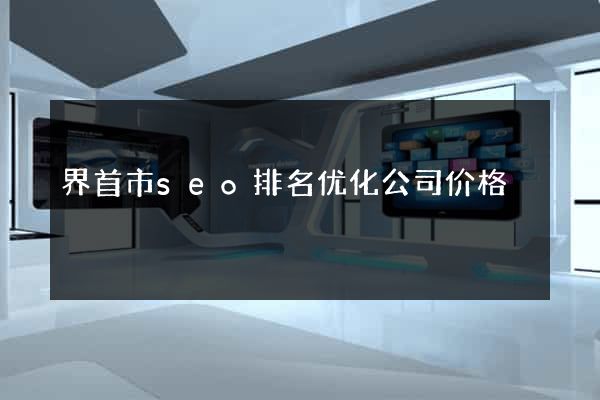 界首市seo排名优化公司价格