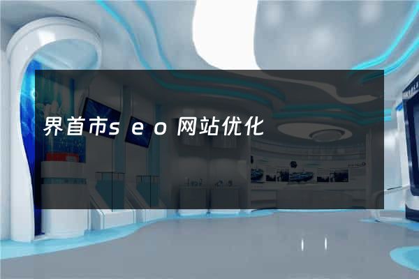 界首市seo网站优化