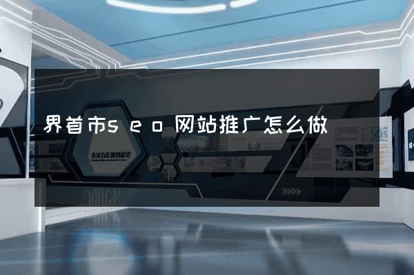 界首市seo网站推广怎么做