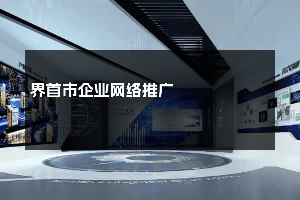 界首市企业网络推广