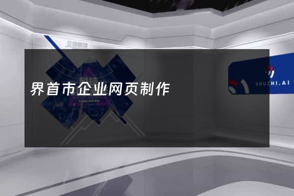 界首市企业网页制作
