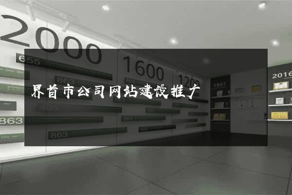 界首市公司网站建设推广