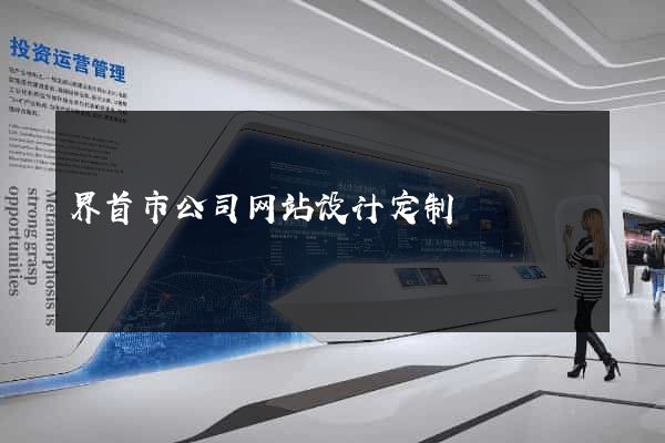 界首市公司网站设计定制