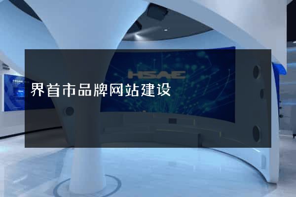 界首市品牌网站建设