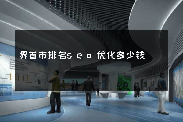 界首市排名seo优化多少钱