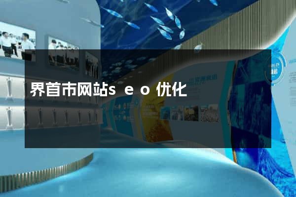 界首市网站seo优化