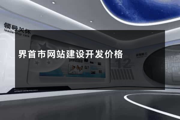界首市网站建设开发价格