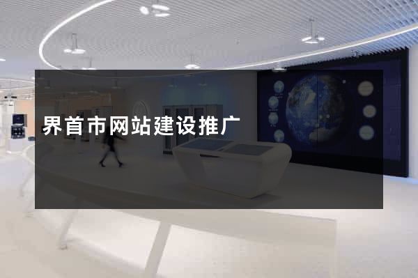 界首市网站建设推广